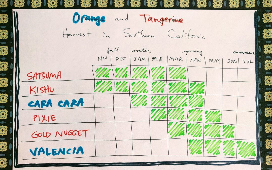 Orange and tangerine harvest chart Southern California