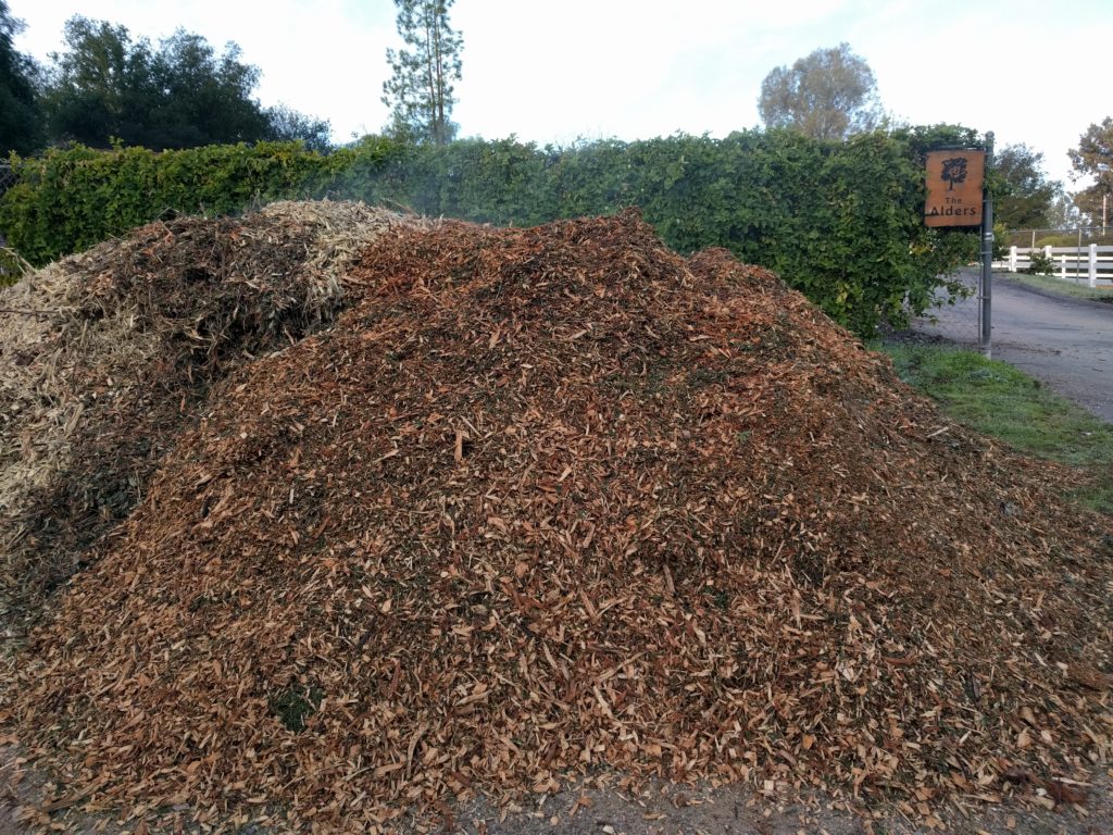 one steaming pile of wood chips, mulch for the fruit trees