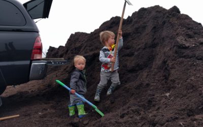 Compost for the vegetable beds, Miramar Greenery