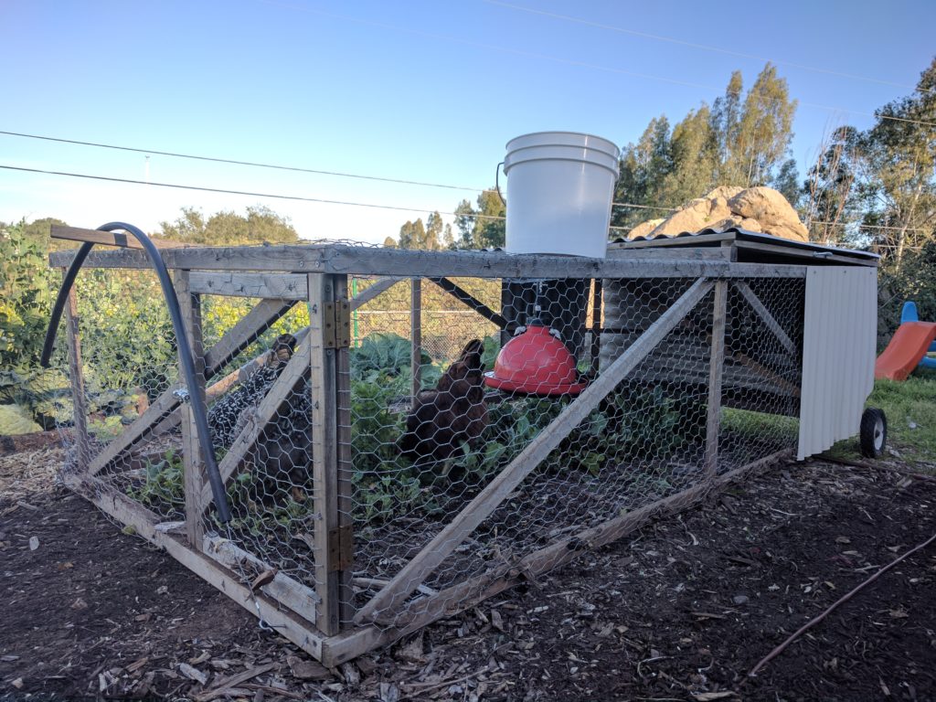 mobile chicken pen