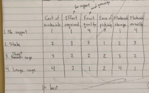 Chart ranking tomato support methods