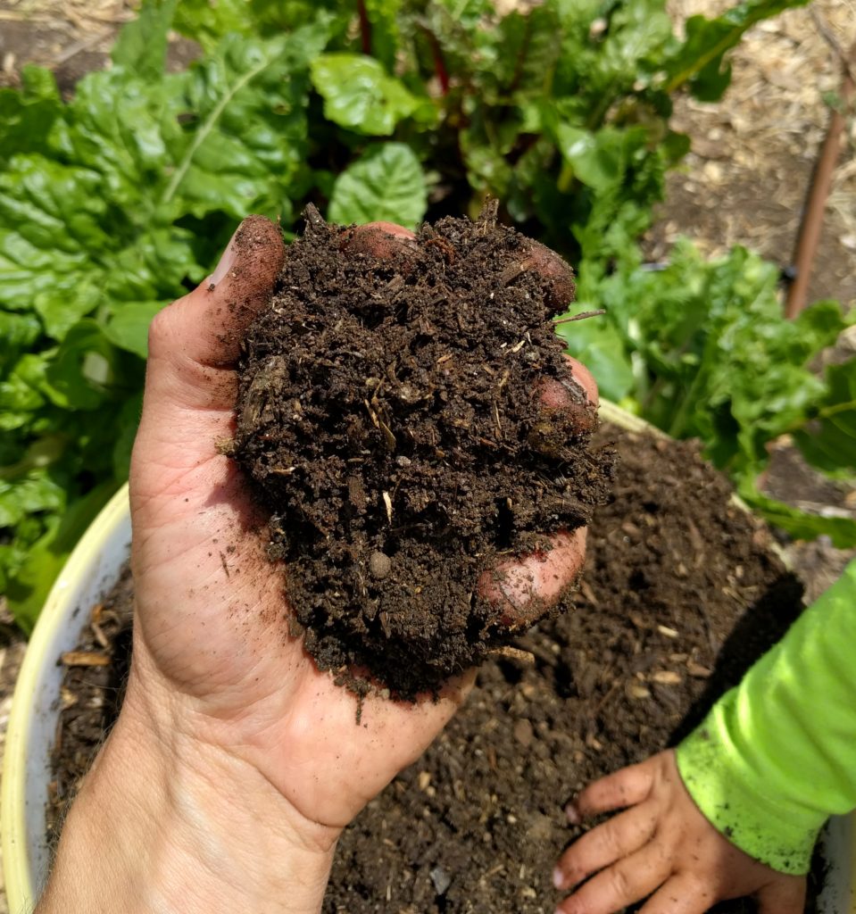 chicken compost