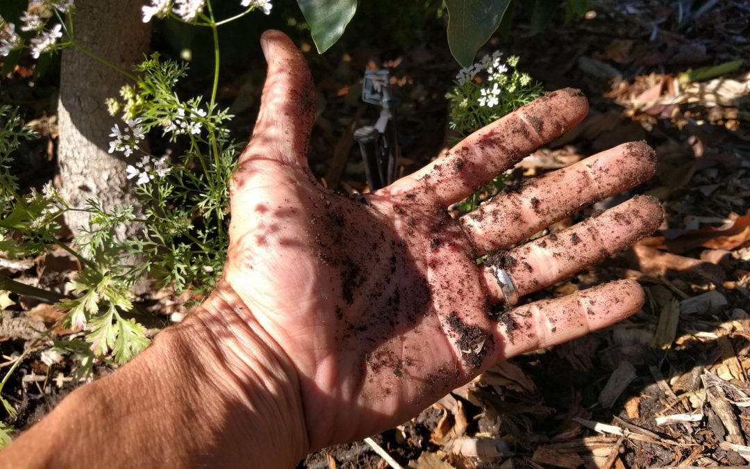 get hands dirty to discover truth about irrigation practices