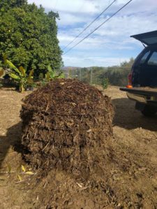 compost pile with horse manure and wood chips