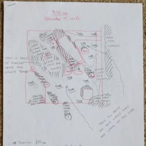 winter solstice shadow map