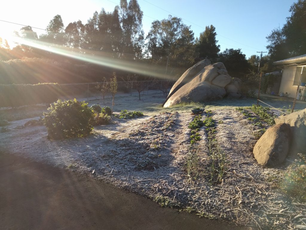 frosty yard Southern California