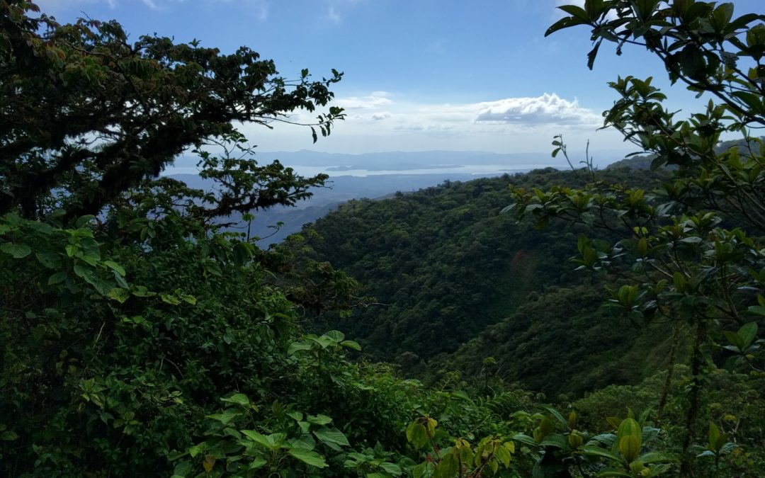 Monteverde Cloud Forest Biological Reserve