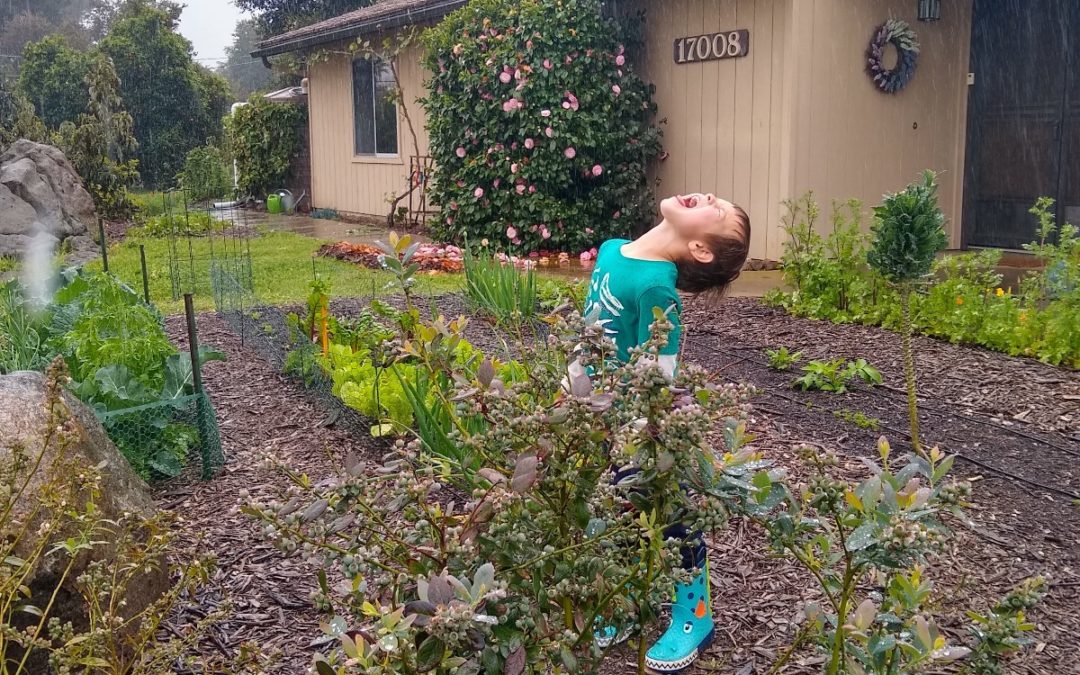 Effects of the cool, wet spring on our Southern California gardens