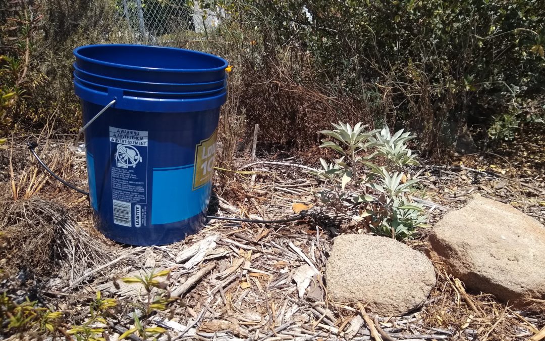 Drip-irrigation bucket