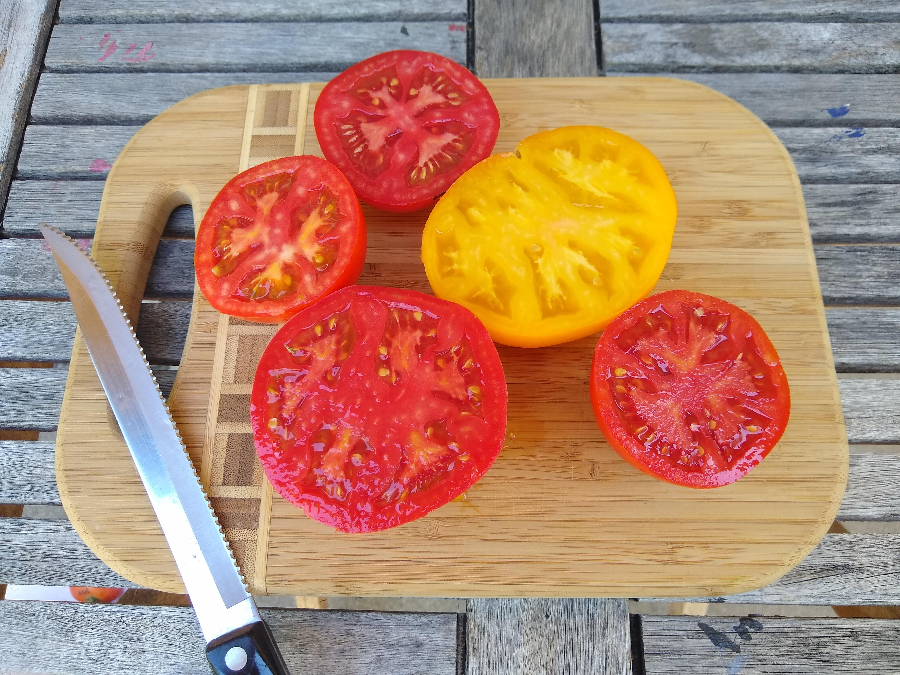 Tomato varieties with disease resistance for Southern California