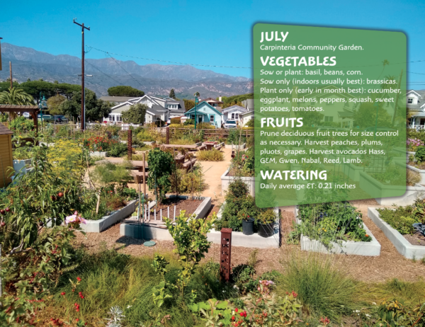 The Yard Posts food gardening calendar 2024 - Image 4