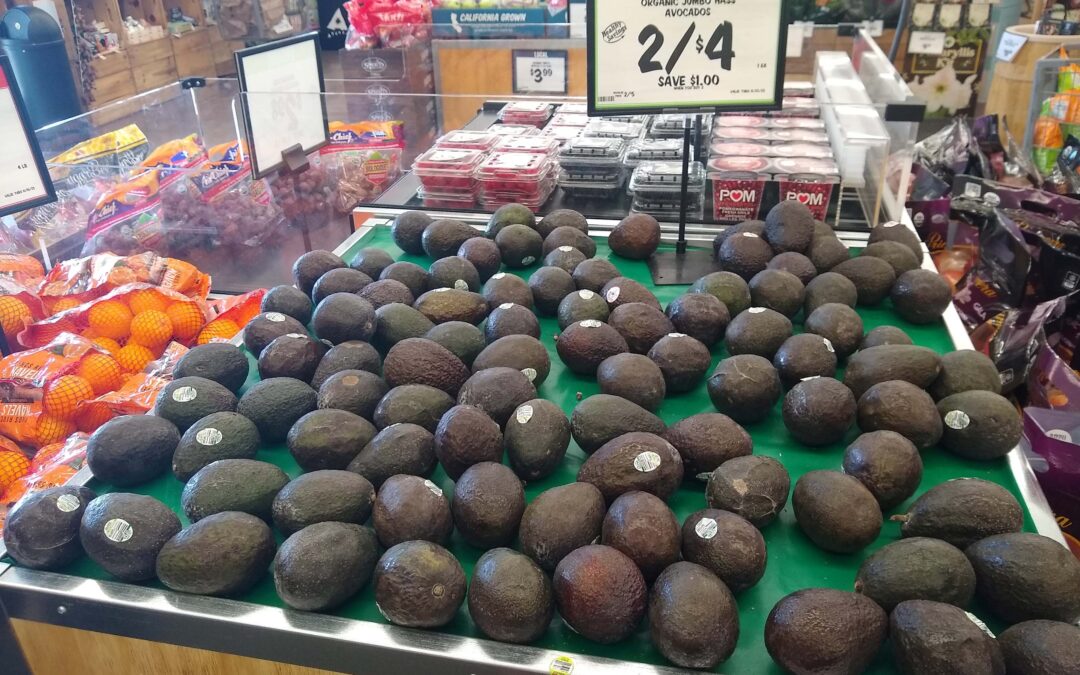 Why only one variety of avocado in grocery stores? with Mary Lu Arpaia